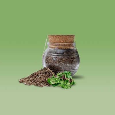 Cristais do Sal Flor de Sal Saladas