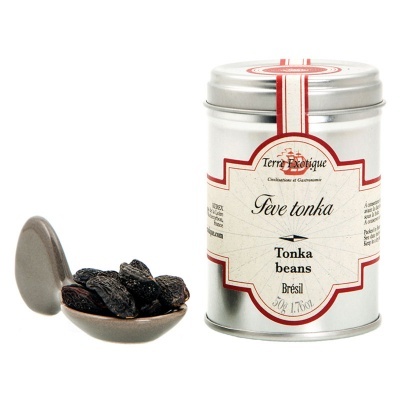 Terre Exotique Fava Tonka (Sementes de Cumaru)