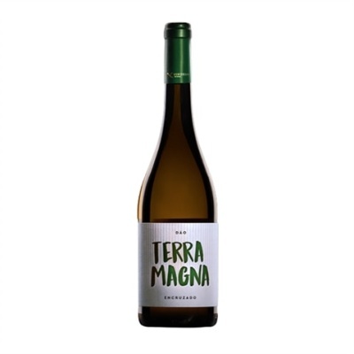 Terra Magna Encruzado 2019 Vinho Branco Dão DOC
