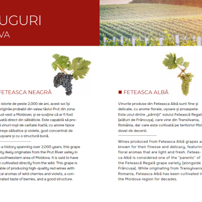 Fine Wine Guide, wine of Moldova.