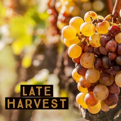 Late Harvest