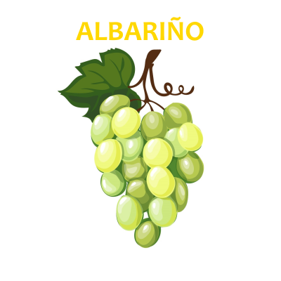 Albariño / Alvarinho