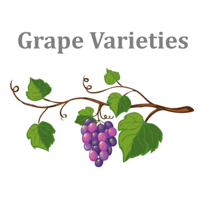 Grapes