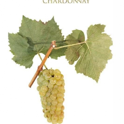 Chardonnay