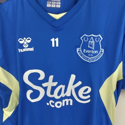 https://www.vsvintagesports.com/product/player-issue-everton-fc-training-shirt-2023-2024-s-11