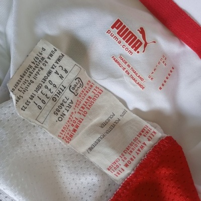 Cameroon Training Shirt 2009-2011 (M) "Very Good"