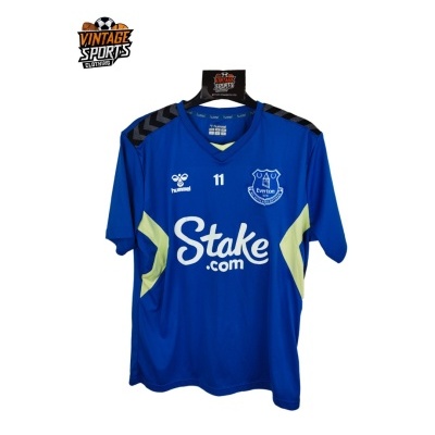https://www.vsvintagesports.com/product/player-issue-everton-fc-training-shirt-2023-2024-s-11