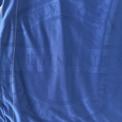 Northern Ireland Away Shirt LS 2006-2008 (L)