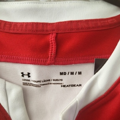 Wales Rugby Home Shirt 2019 (M)