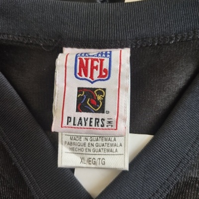 Pittsburgh Steelers NFL Jersey (XL)#43 Polamalu