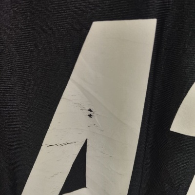 Pittsburgh Steelers NFL Jersey (XL)#43 Polamalu