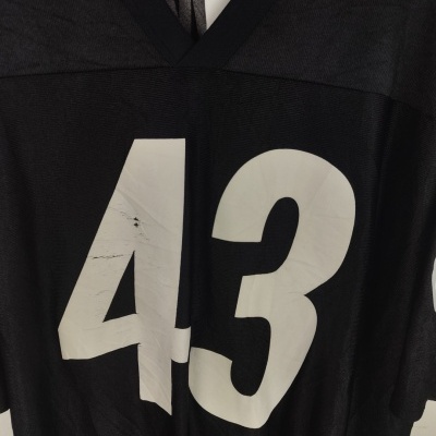 Pittsburgh Steelers NFL Jersey (XL)#43 Polamalu