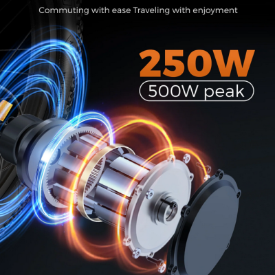 Bicicleta Elétrica Dobrável ENGWE T14 250W 55 km Alcance Máximo.  Velocidade Máxima 25 km/h.