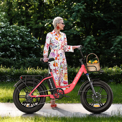 ENGWE  L20 250W.  140 km autonomia. Velocidade máxima 25 km/h.  Suspensão dianteira.  Step-Thru E-bike.