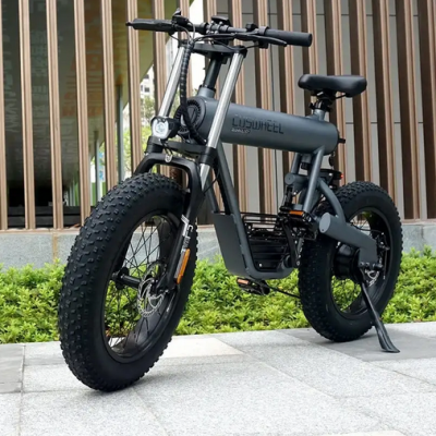 COSWHEEL T20