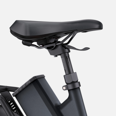 ENGWE  P275 ST  250 W.  260 km Autonomia . Ananda Torque Sensor.  Motor de accionamento intermediário.