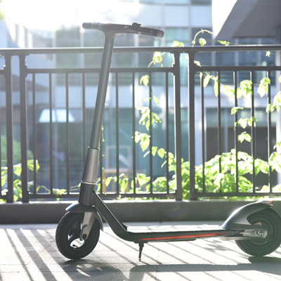 MANKEEL  MK006 Silver Wings