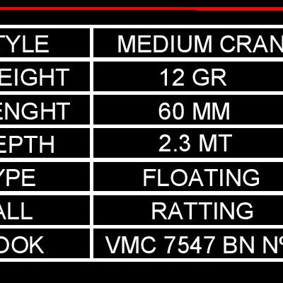 BBS Square Long Cranwk R-400 31110 12 grs