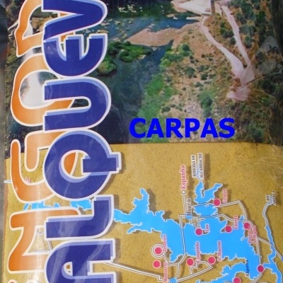Alqueva Carpas  , Bogas , Barbos, Abletes , Pimpão  pc kg