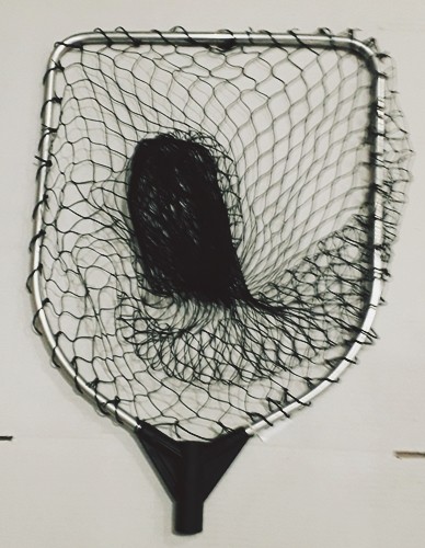 Cabeça Camaroeiro Mar Malha Larga