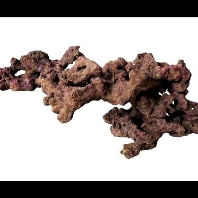 EcoReef Rock Centrepiece 04