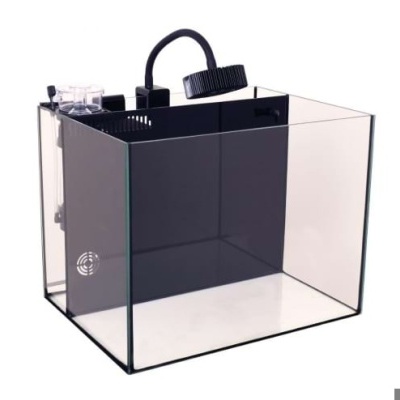 Aquário de vidro transparente com filtro interno e tampa preta