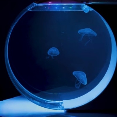 Kreisel 15 e 10 - JellyFish Aquarium SET