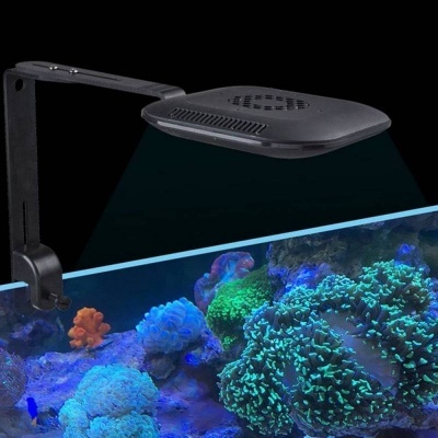 Luz LED preta fixada num aquário iluminando corais coloridos
