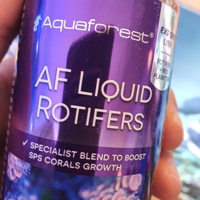 AF Liquid Rotifers