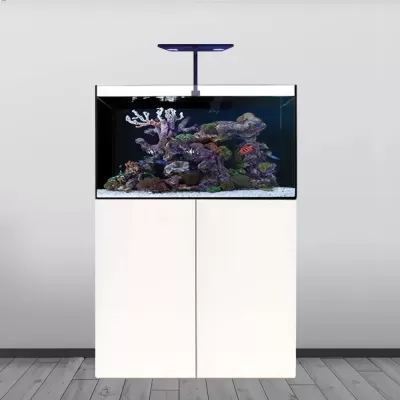 TMC Reef Habitat 90 Aquarium System