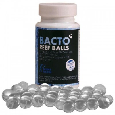 Fauna Marin - Bacto Reef Balls
