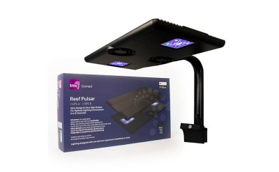 TMC Reef Pulsar SPS-8