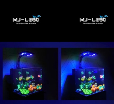 Maxspect Jump Led L260 e L290