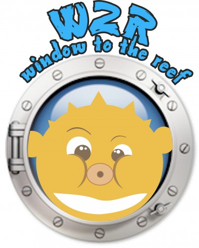 Tratamento/Medicação da água/Pragas