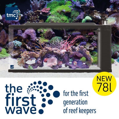 TMC Aquário First Wave 78L