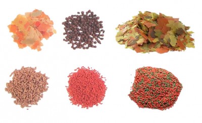 Alimentos para Peixes