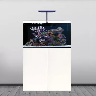 TMC REEF HABITAT 90 Aquarium System -  PACK "CHAVE NA MÃO"