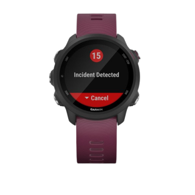 Smartwatch Garmin Forerunner 245 Bordeaux
