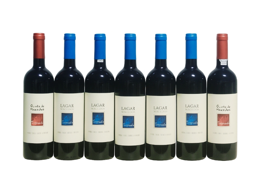 Sete garrafas de vinho tinto com rótulos brancos e cápsulas azuis e vermelhas alinhadas