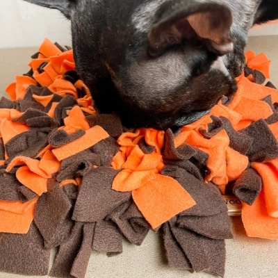 Estimulação Mental