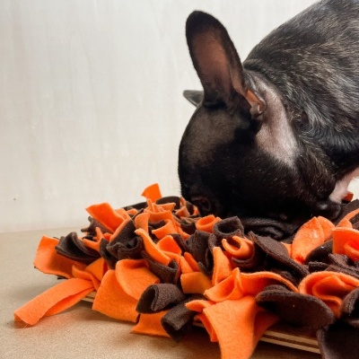 Snuffle Mat - Tapete de estimulação mental