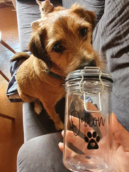 Frasco de vidro com texto 'Demon' e pata preta segurado perto de cão castanho