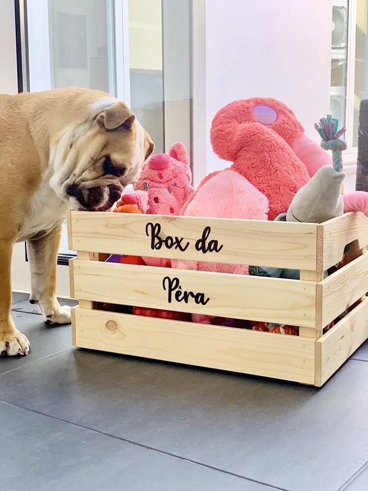 Kit Comedouro + Hanger ou Box Personalizáveis