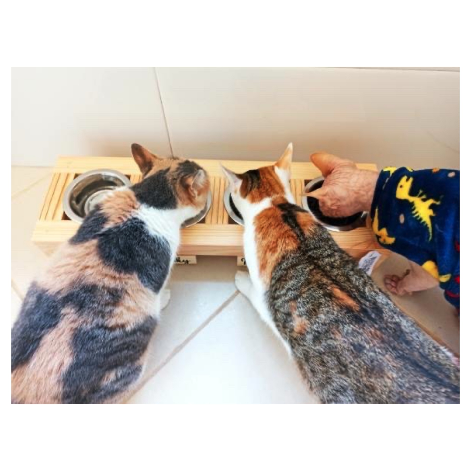 Comedouro Elevado Triplo Master