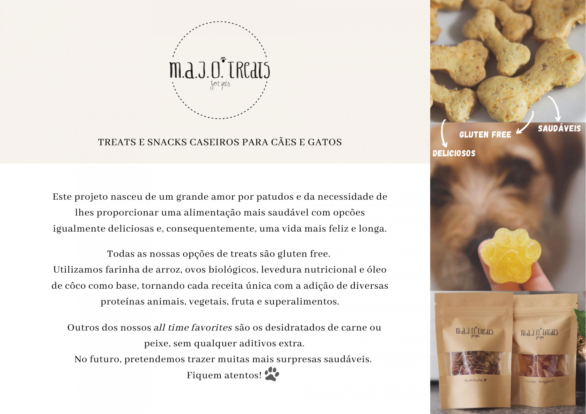 Folheto com informações e imagens de snacks caseiros para cães e gatos da M.A.J.O.TREATS