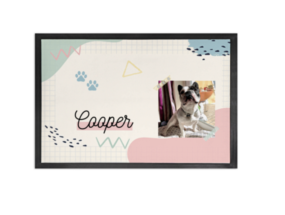 Pawpete para comedouro