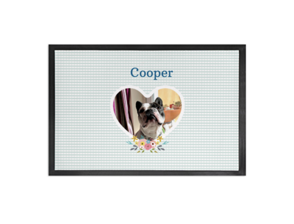 Pawpete para comedouro