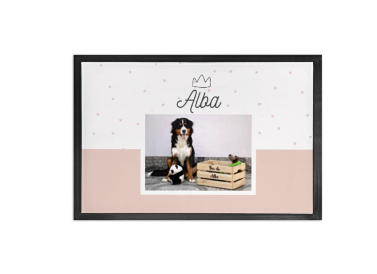 Pawpete para comedouro