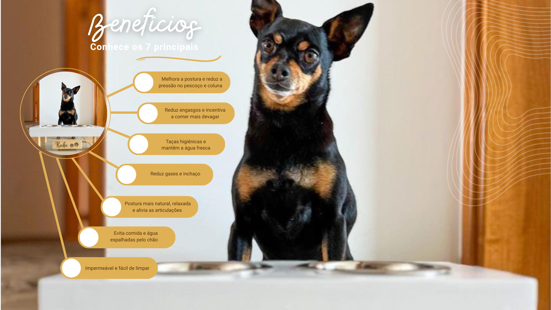 Comedouro Elevado Duplo Master