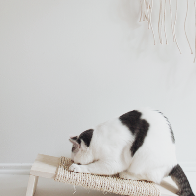 Rampa arranhador de gato, 2 em 1 personalizável